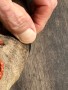 Image 2 from erick of Scarpa - Mescalito - Approach shoes