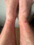 Image 1 from Jonathon  of Scarpa - Ribelle Run Kalibra G - Trail running shoes