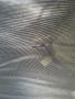 Image 5 from Manuela of Stoic - NjavveSt. II 3P UL - 3-person tent