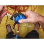 Image 2 from Boris of Trango - Vergo - Belay device